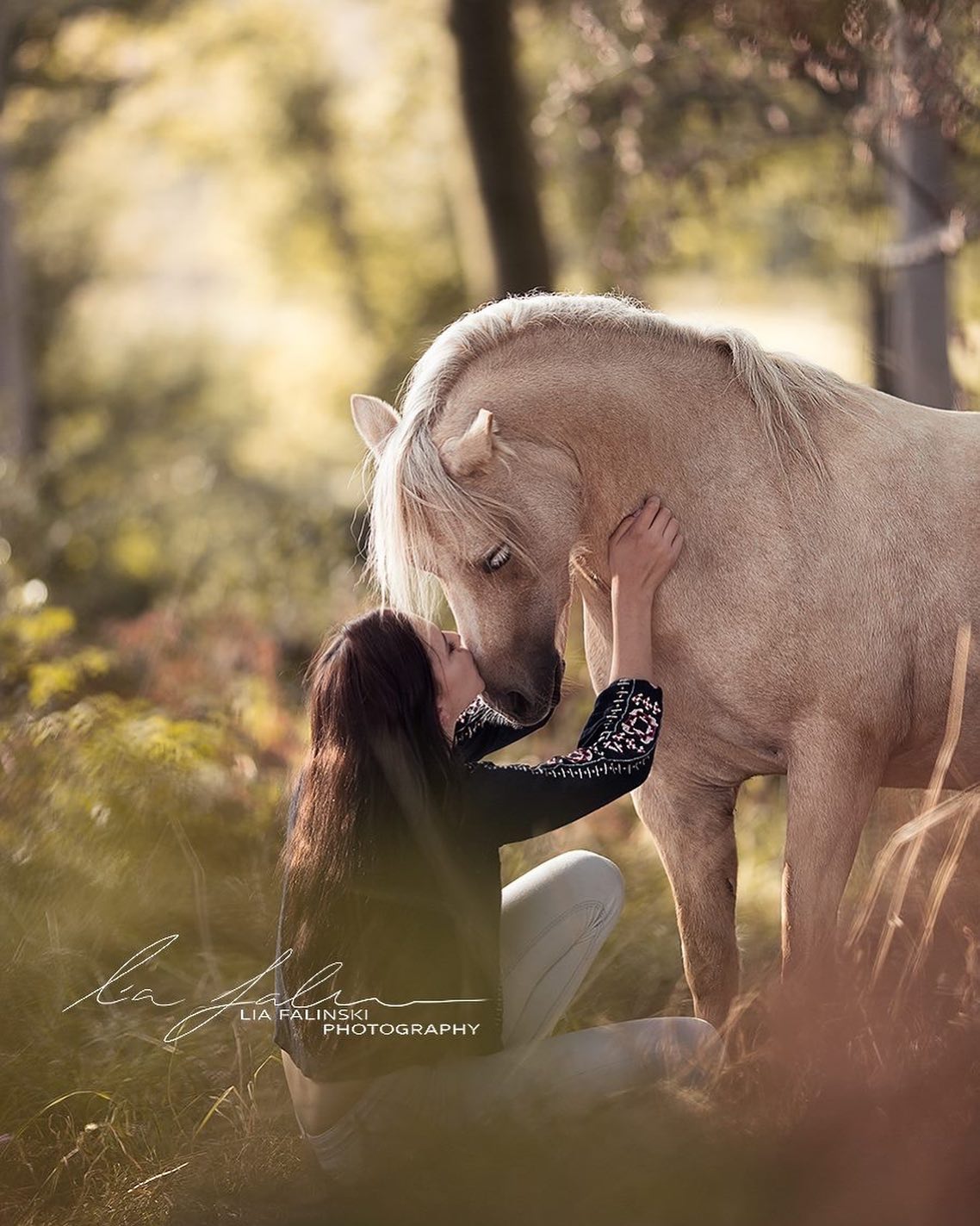 Lisa Falinski - Horse Photography